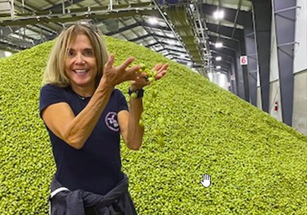 Sue, Founder/Owner.
